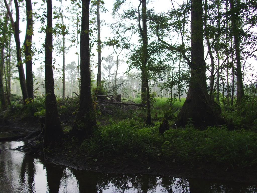 Kayaking the Ogeechee River in 2009 *Pic HEAVY* (1